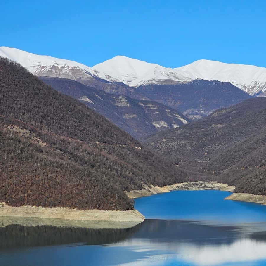 Медиаколлаж