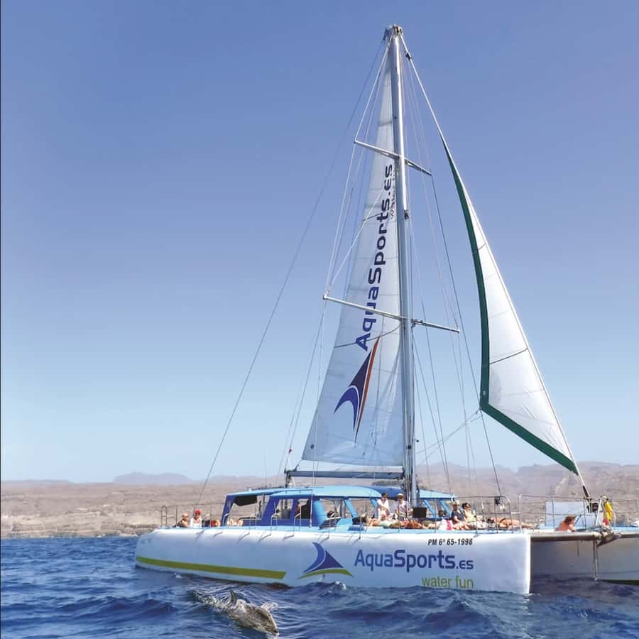 Puerto Rico: 4-Hour Catamaran Excursion in the South