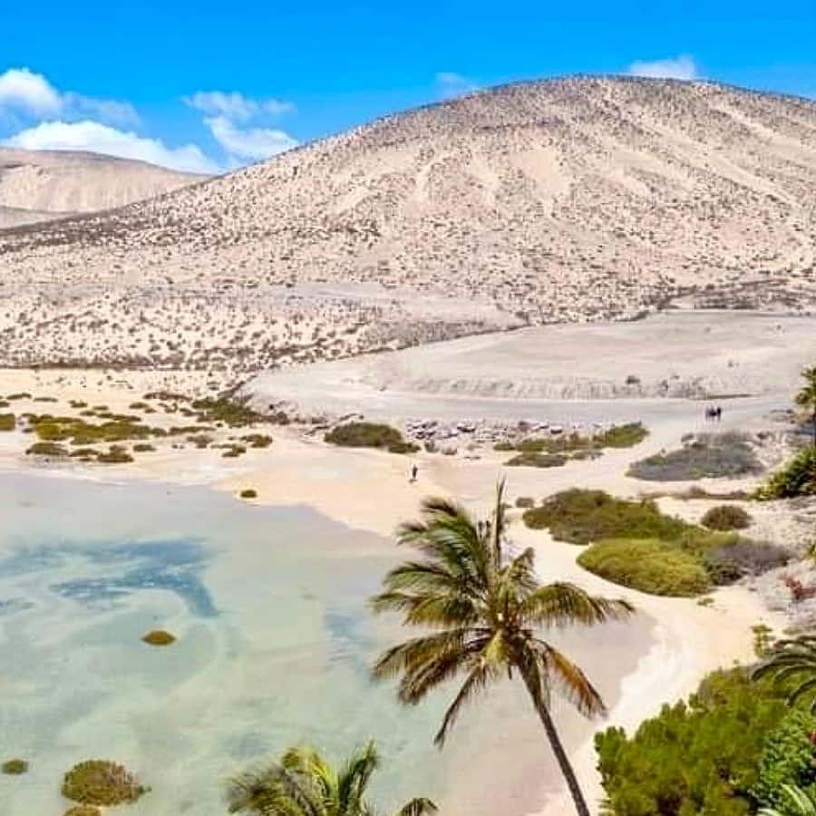 Galería de fotos para redes