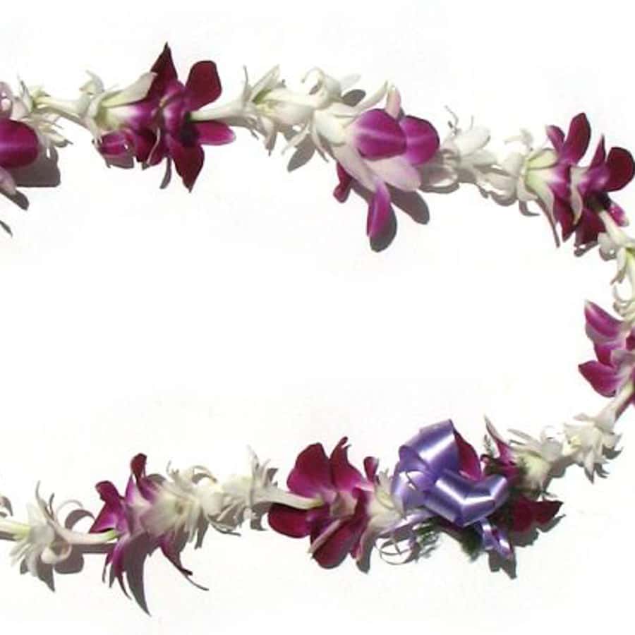 オアフ島: ホノルル空港 (HNL) 伝統的なレイ グリーティング