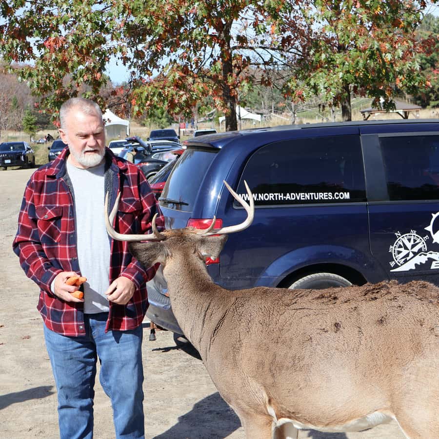 From Montreal: Omega Park Wildlife Safari Calling Sounds