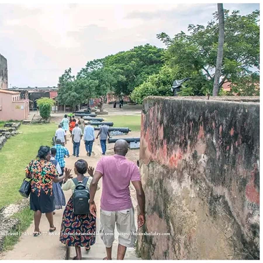 Galería de fotos para redes
