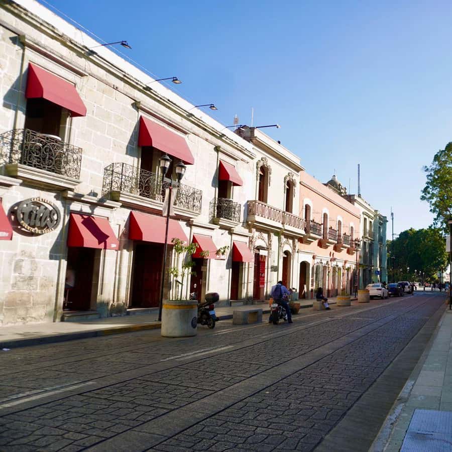 Galería de fotos para redes