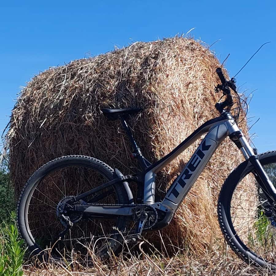 San Gimignano: E-Bike Tour with Tasting GetYourGuide