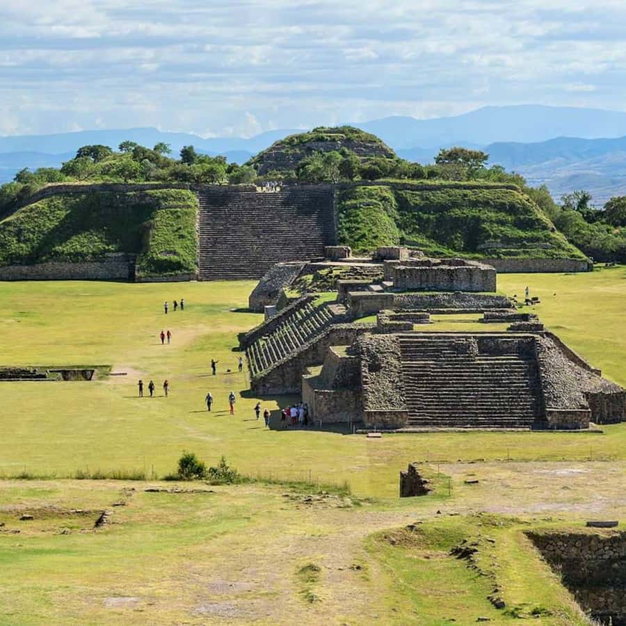 Galería de fotos para redes