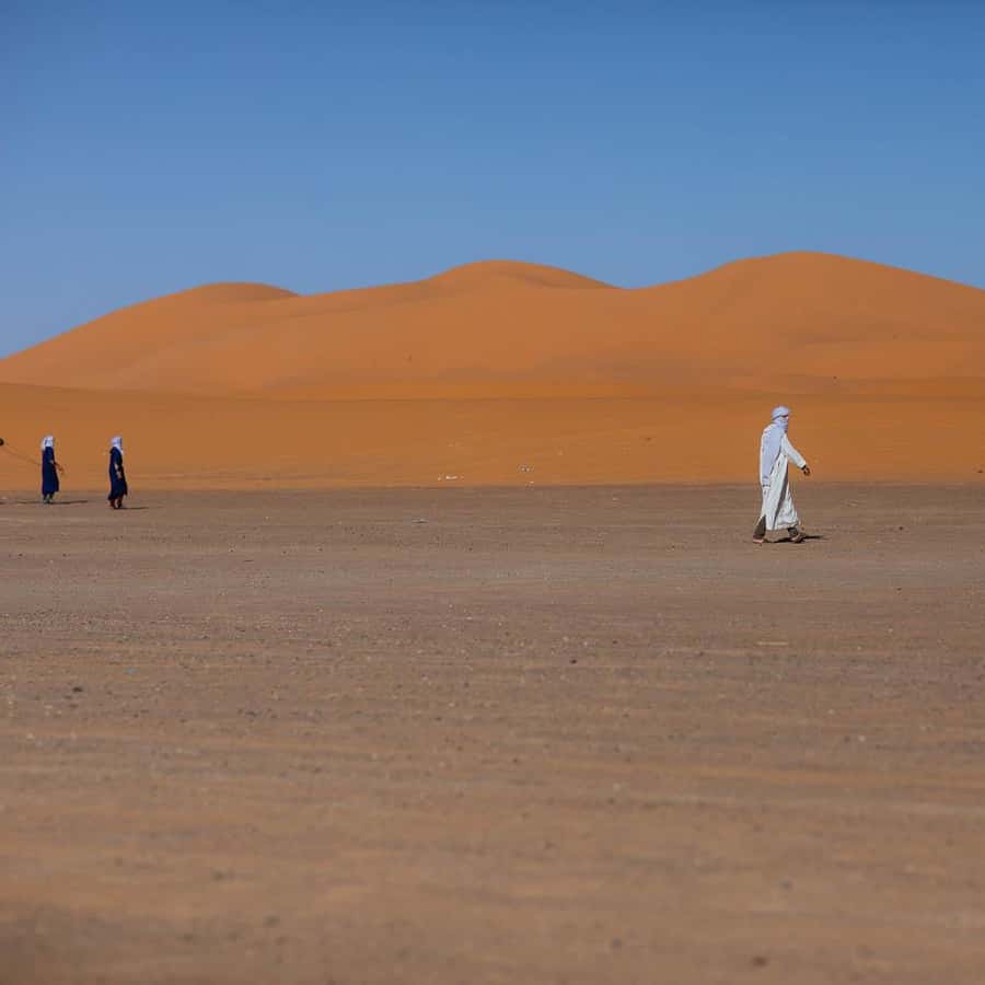 Galería de fotos para redes