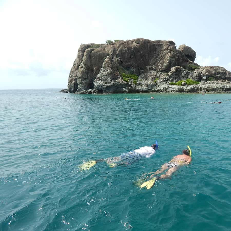 Sand Dollar Half Day Snorkel Cruise St. Martin