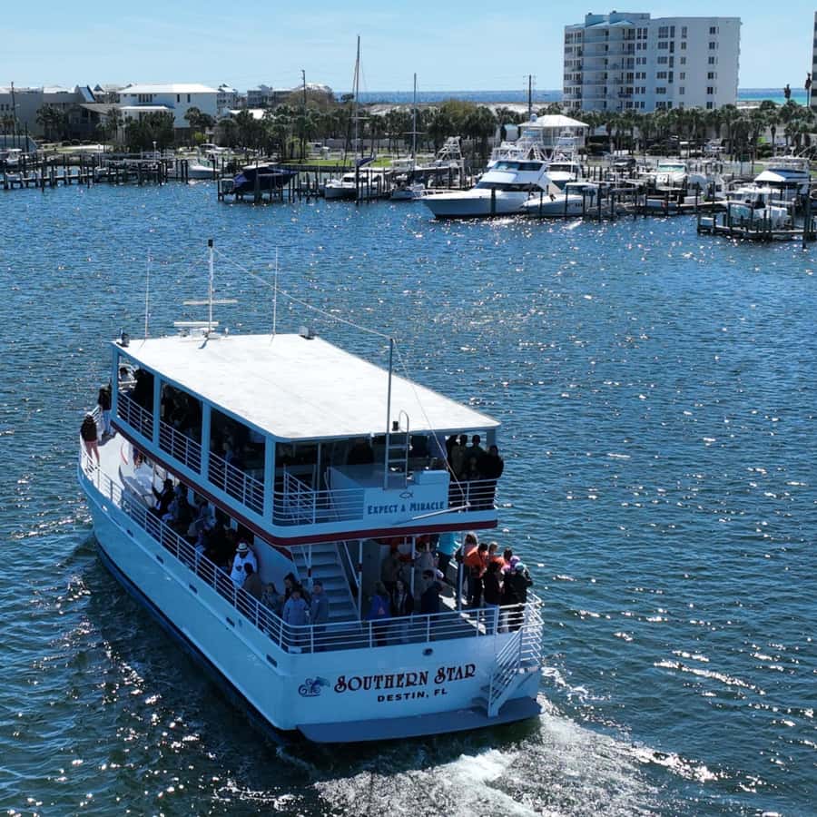 Destin: Dolphin Cruise aboard a Glass-Bottom Boat