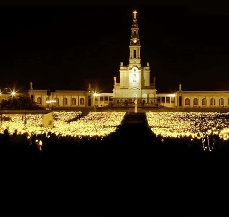 Galería de fotos para redes