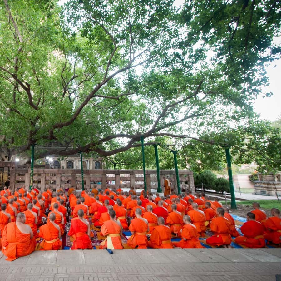 仏陀悟りの聖地巡り9日間 | GetYourGuide