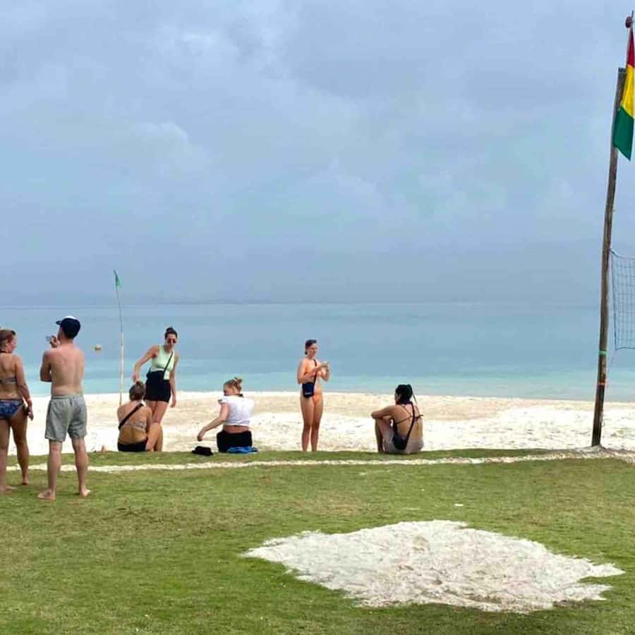 Colagem de mídia