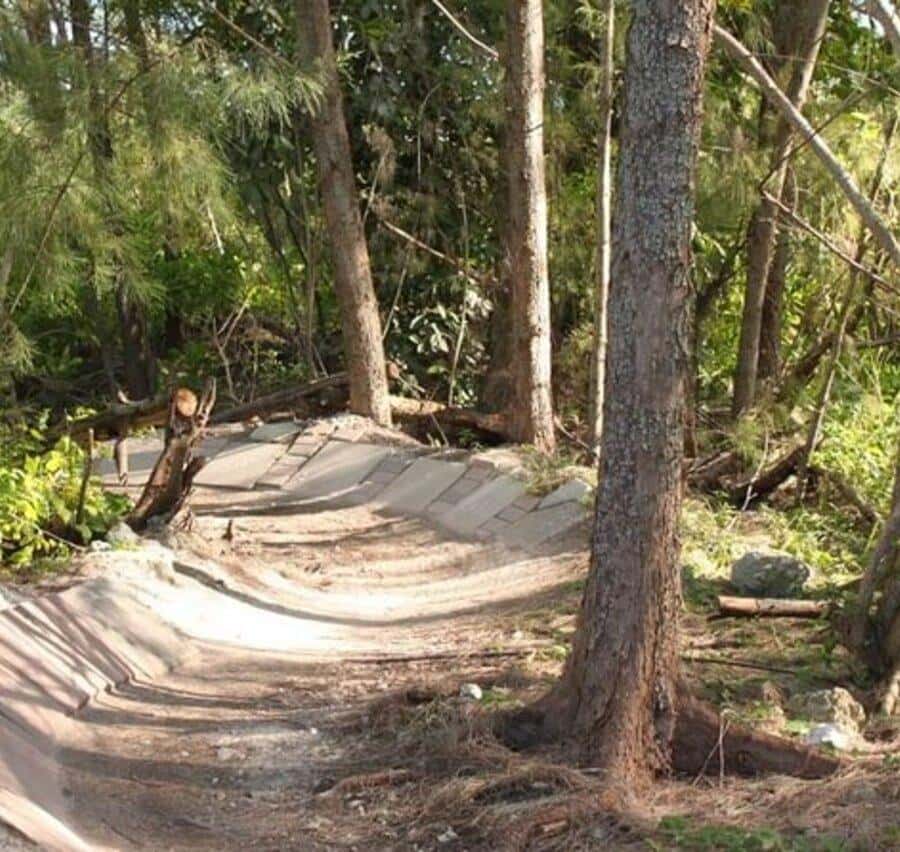 Miami: Mountain Bike Rental on Virginia Key Trails GetYourGuide