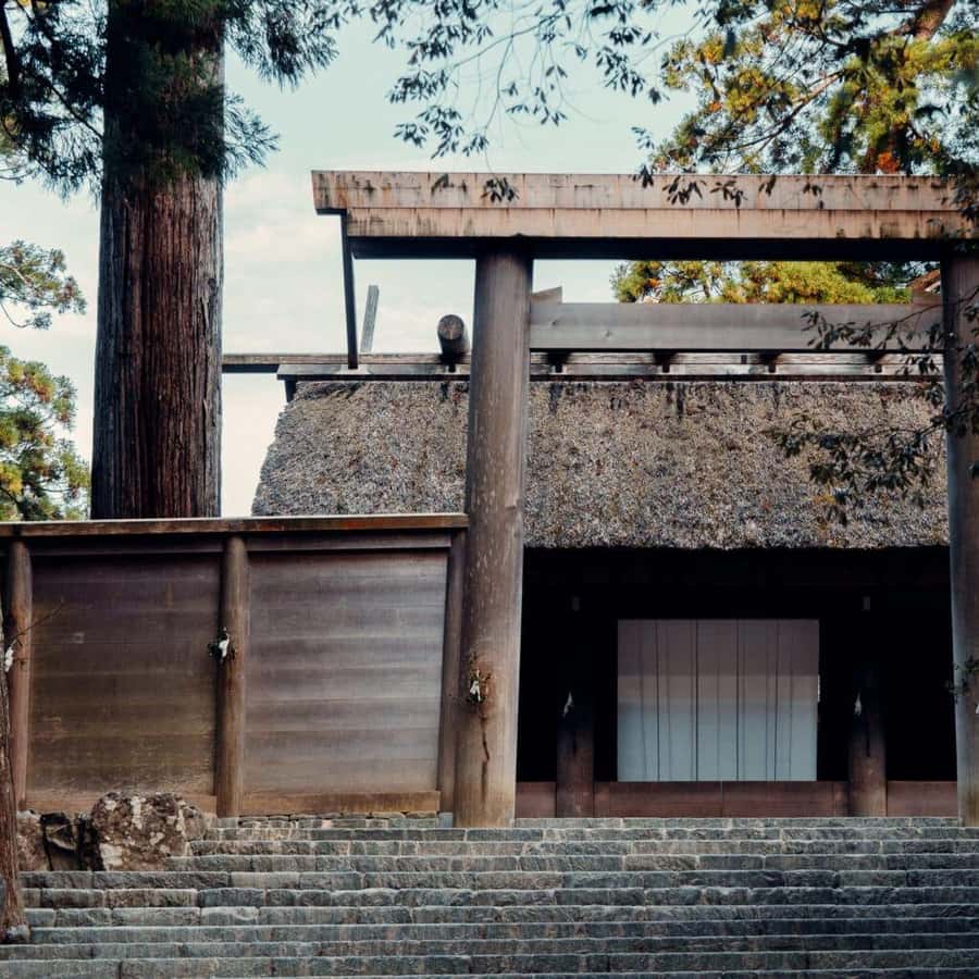 メディア コラージュ