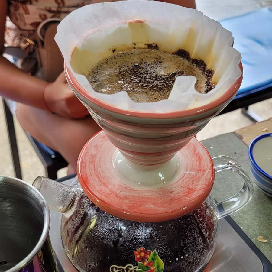 Medellín: Kaffegårdopplevelse med smaking (små grupper) | GetYourGuide, image size:900x900