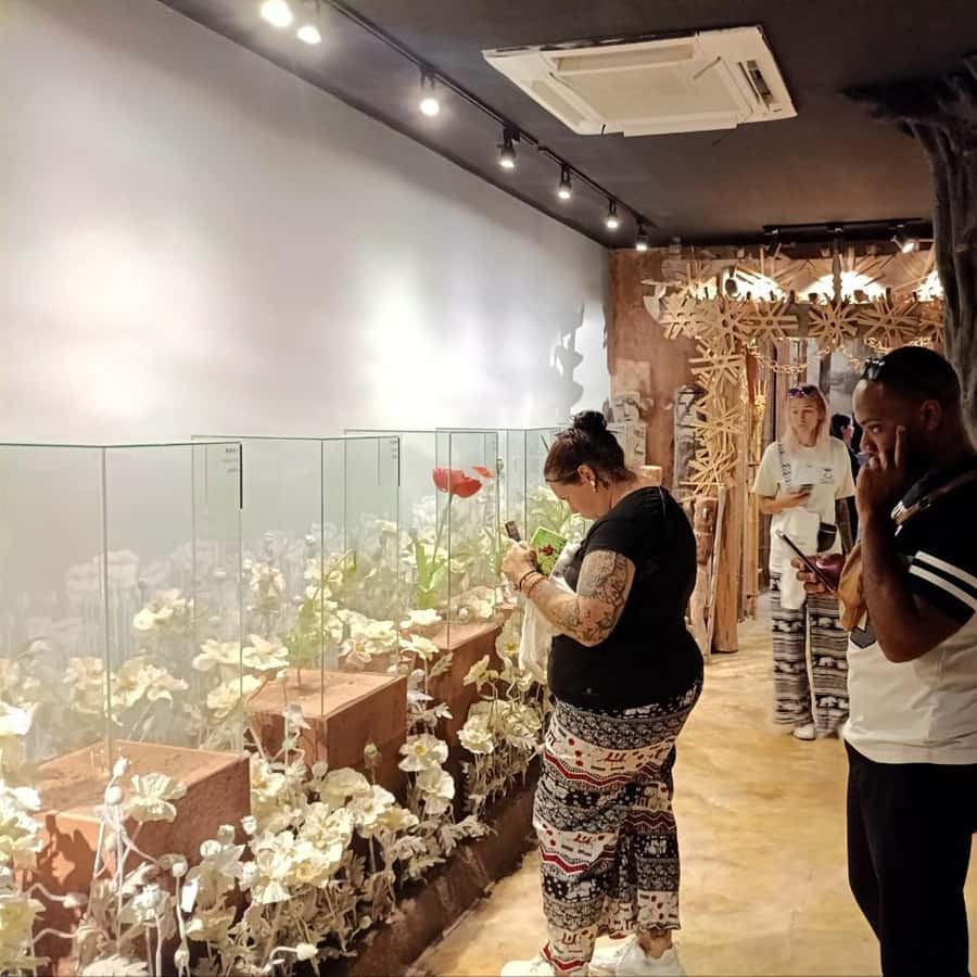 Galerie média
