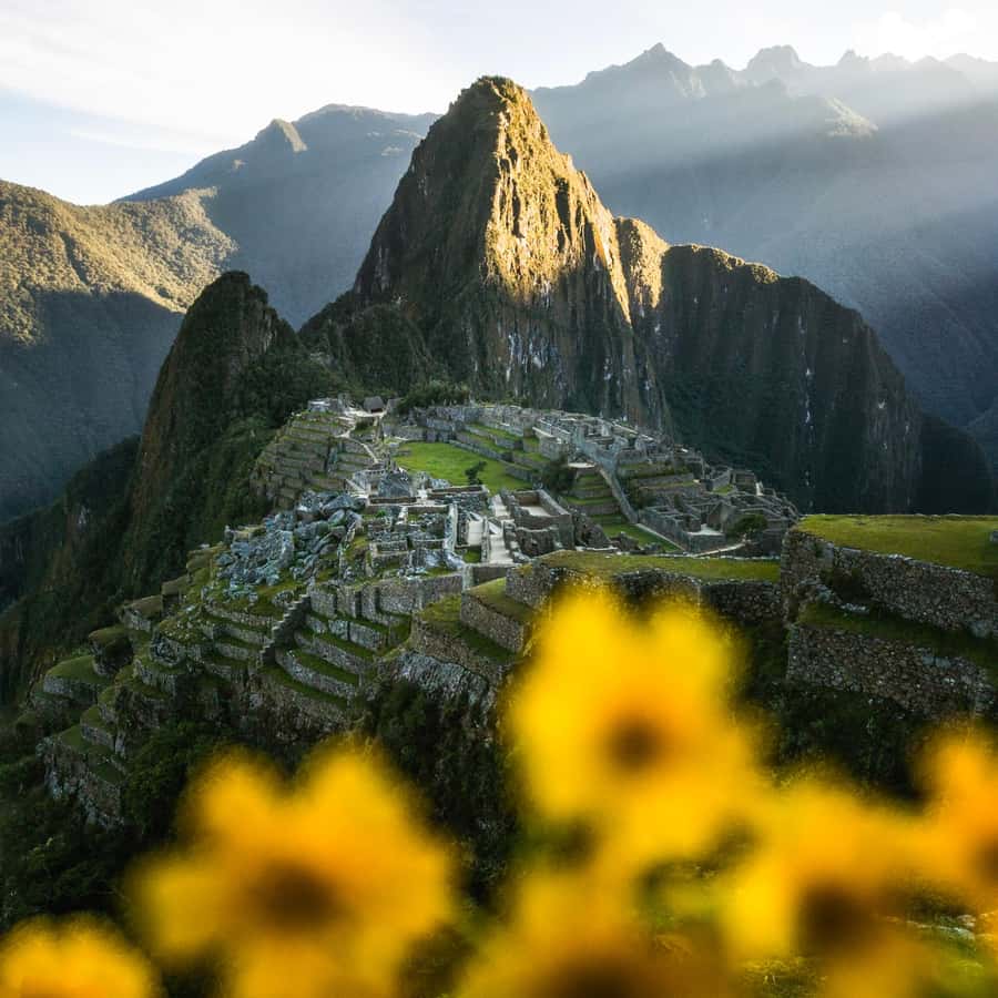 Galería de fotos para redes
