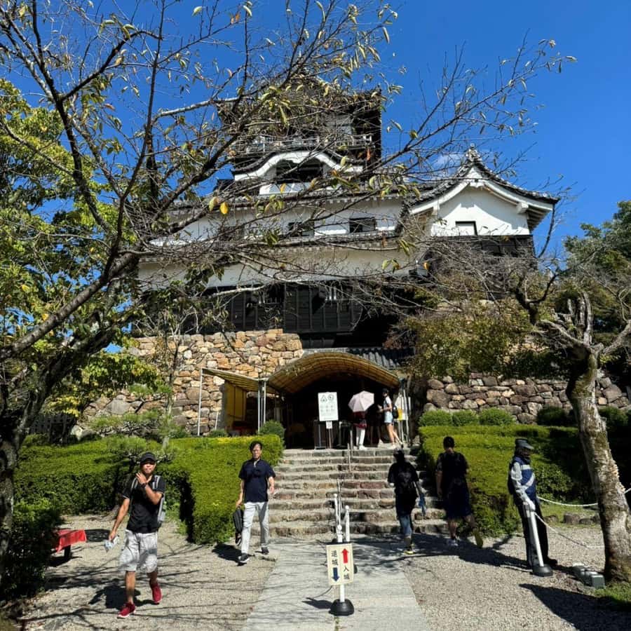 メディア コラージュ