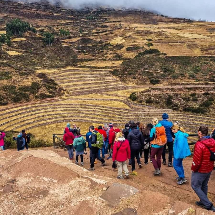 Galería de fotos para redes