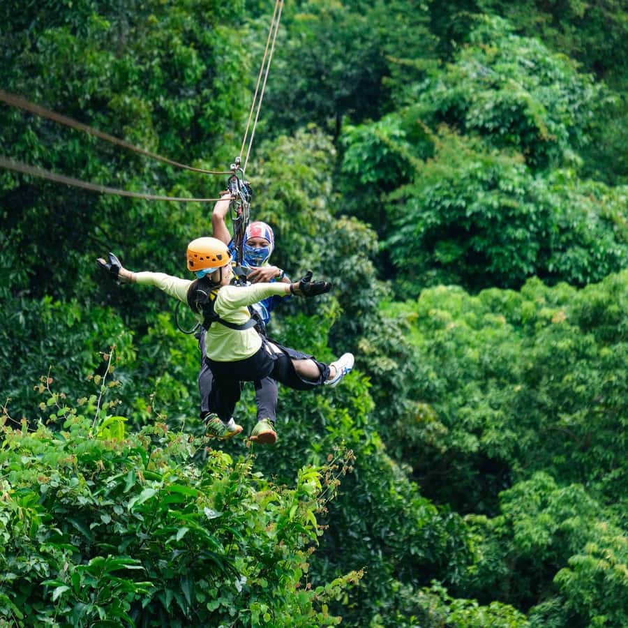 From Koh Samui: Tree Bridge Zipline and Café Experience