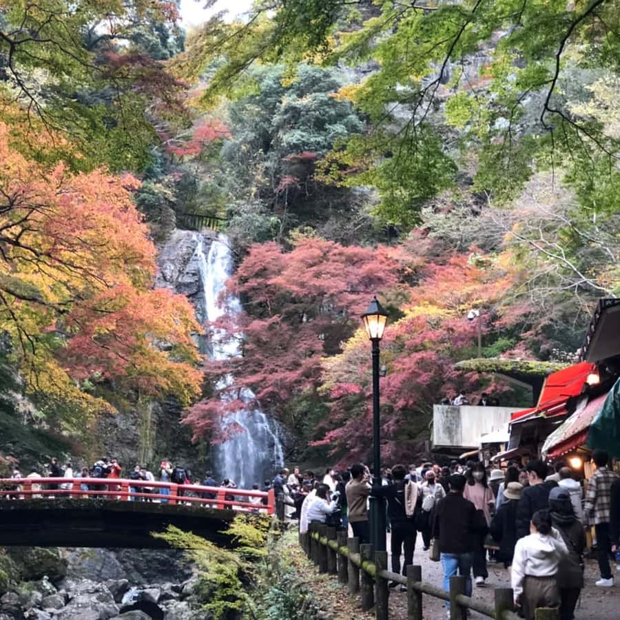 大阪から箕面を知る勝尾寺・龍安寺滝・龍安寺 | GetYourGuide
