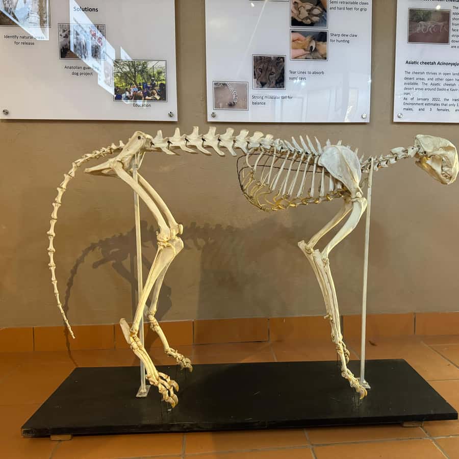 メディア コラージュ