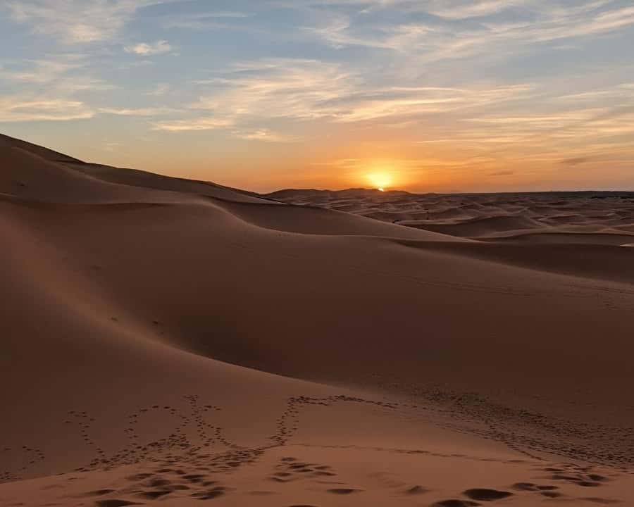 Galería de fotos para redes