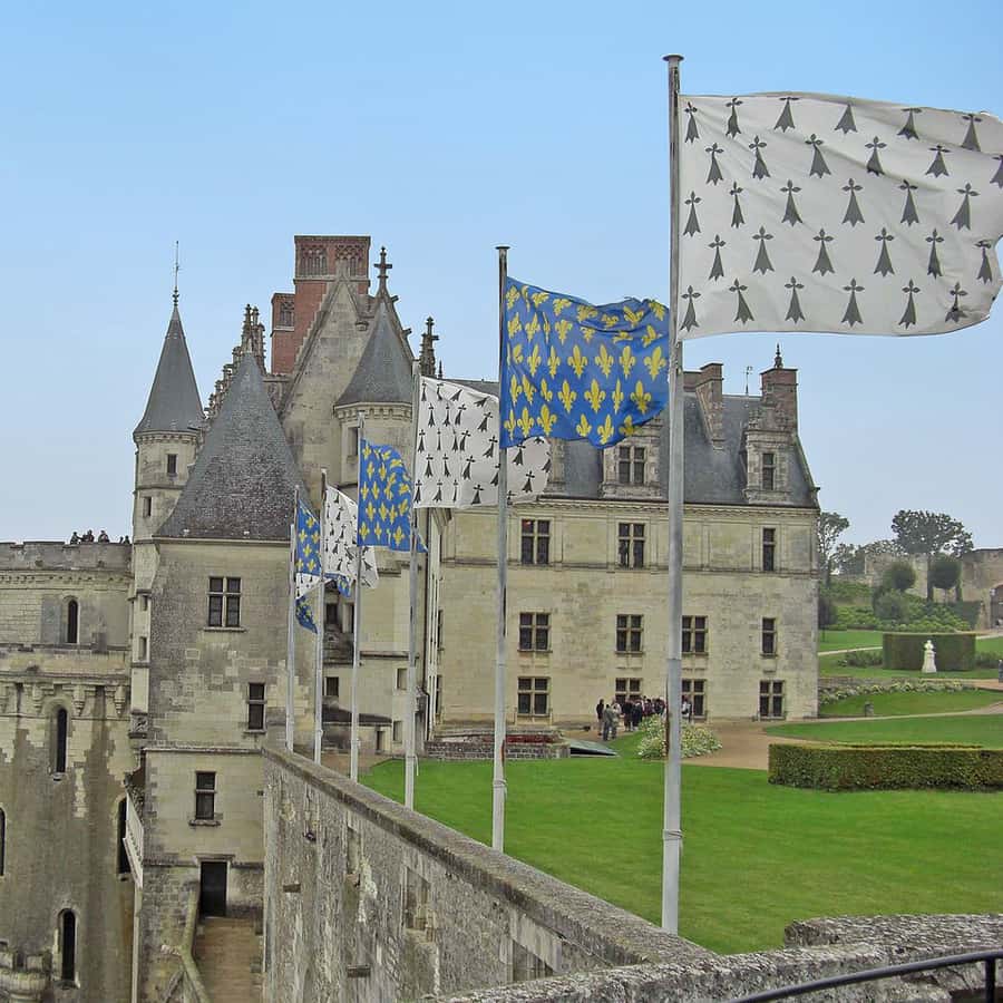 Galerie média