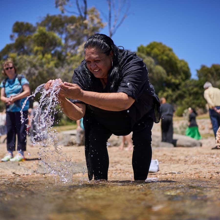 Galería de fotos para redes