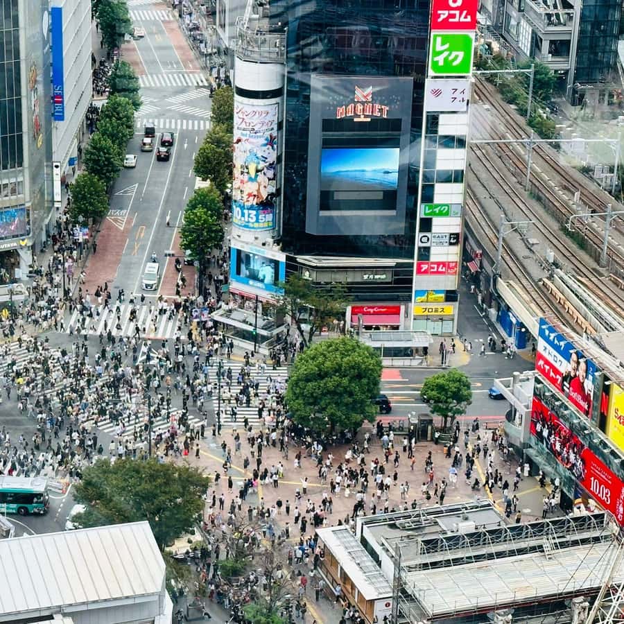 Tokyo: Private Tailored Tour with a Local Guide | GetYourGuide