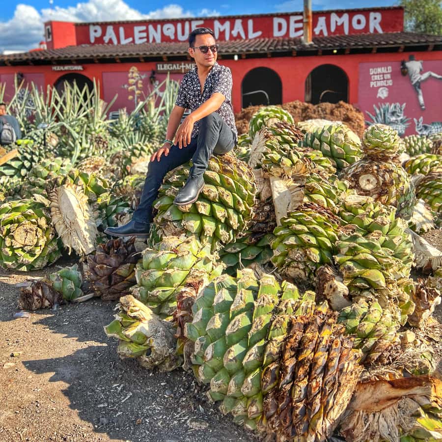 Galería de fotos para redes