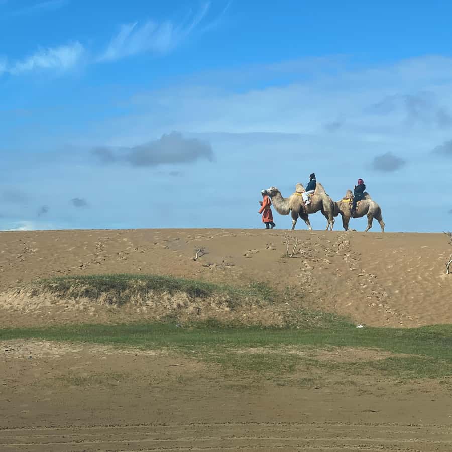 中央モンゴルのベスト4日間ツアー、チンギスハーン像 | GetYourGuide