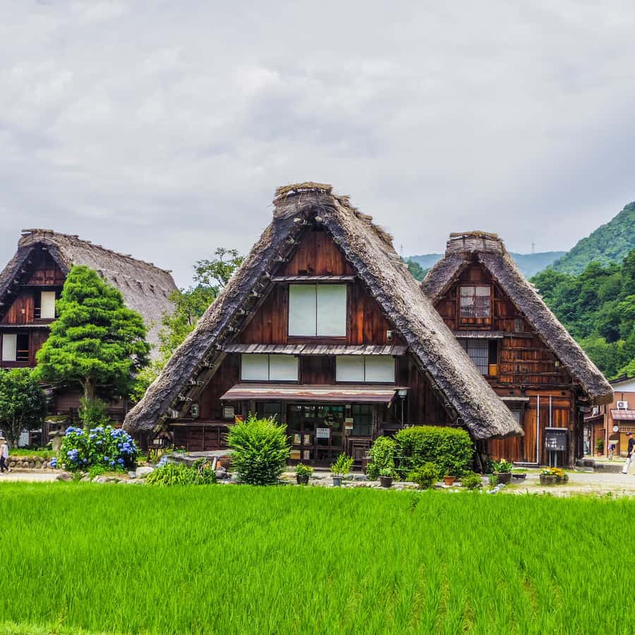 名古屋：飛騨高山と世界遺産白川郷の日帰りツアー | GetYourGuide