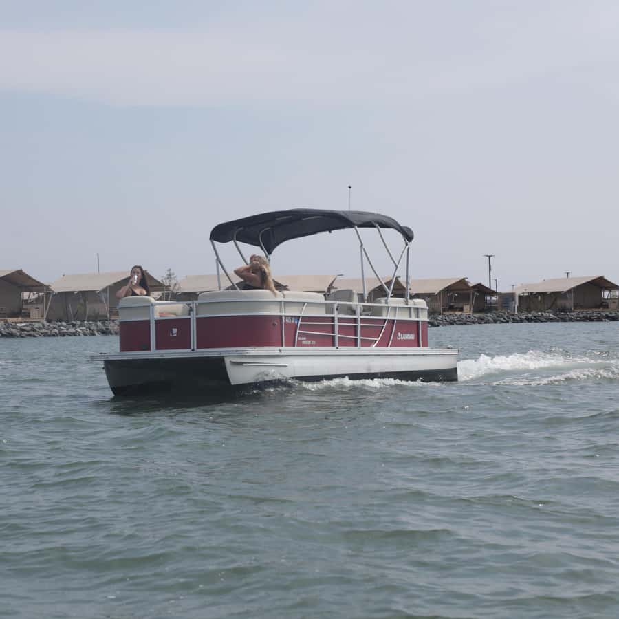 Pontoon Boat Rentals in Chincoteague Island, VA