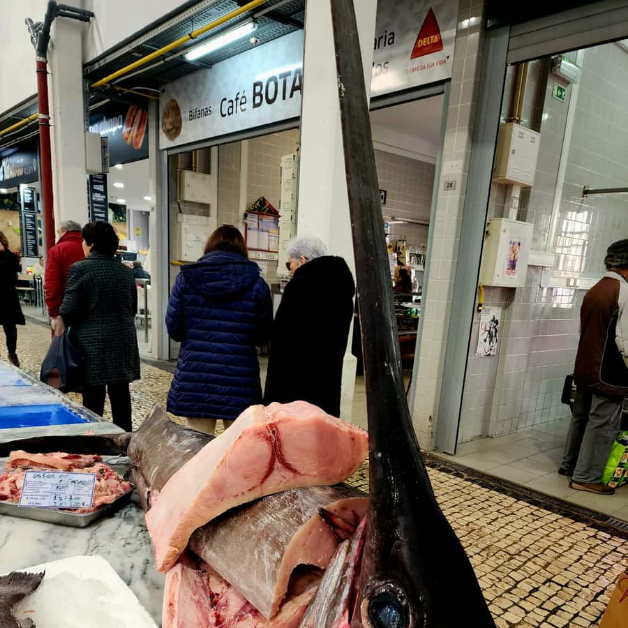 Galería de fotos para redes
