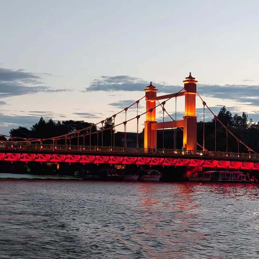 Galería de fotos para redes