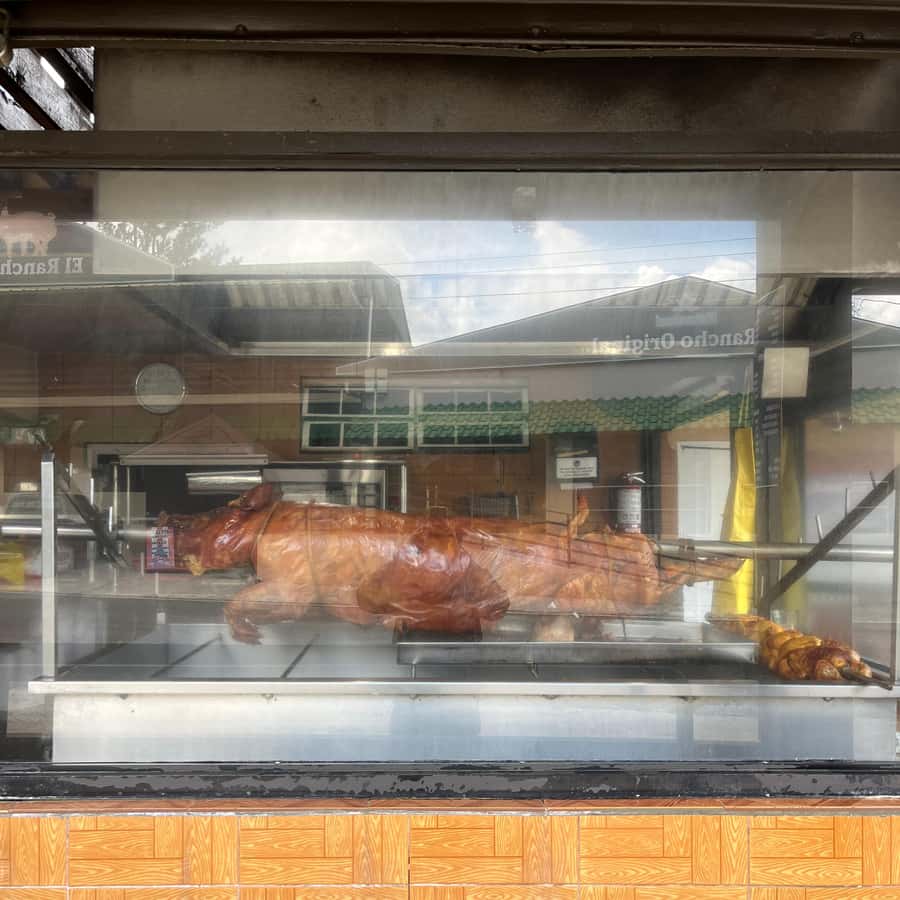 Chanco Hornado Oder Gebratenes Schwein Auf Dem Offenen Markt Cuenca –  Stockfoto © ireneuke #320744678, image size:900x900