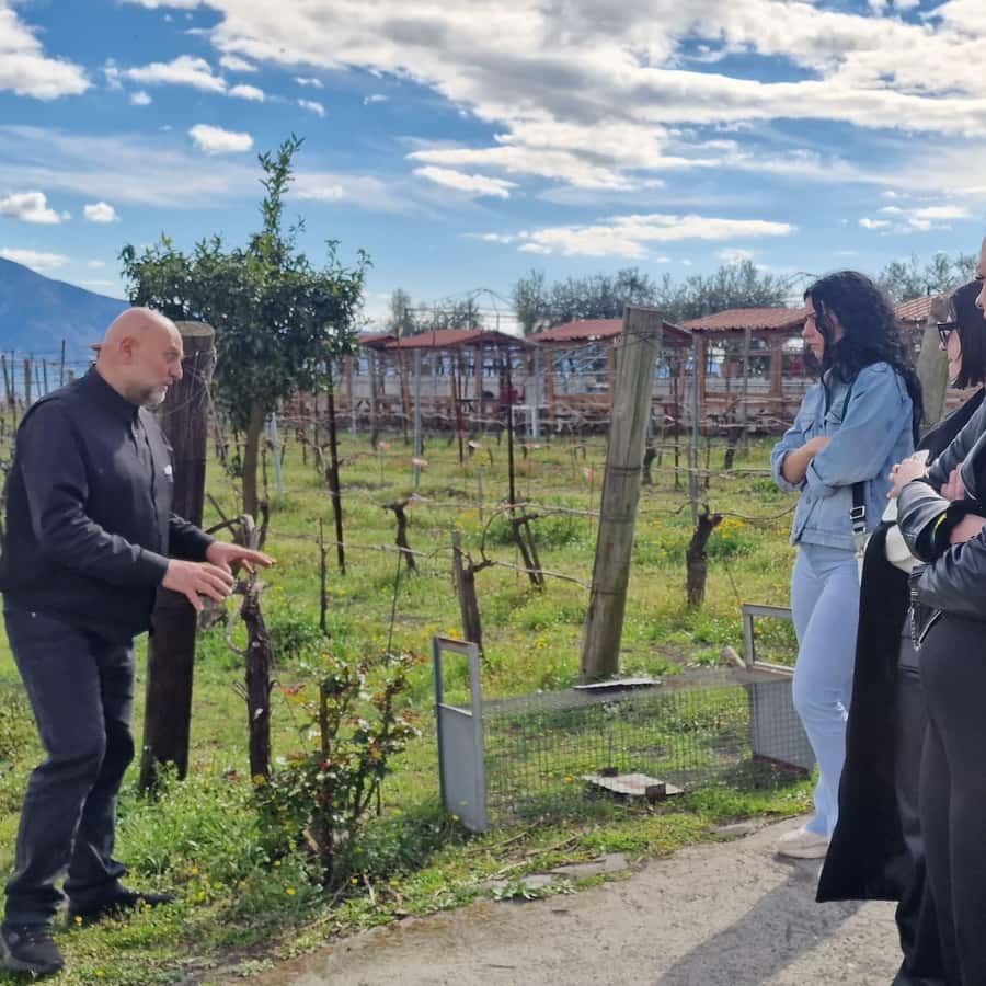 Galería de fotos para redes