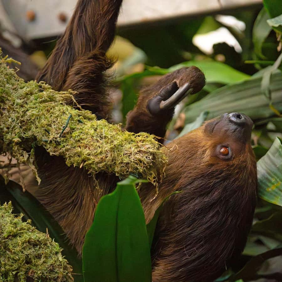 Roadtrip nord for Cairns samt Great Barrier Reef – Queensland del 3 –  Familien Schneider, image size:900x900