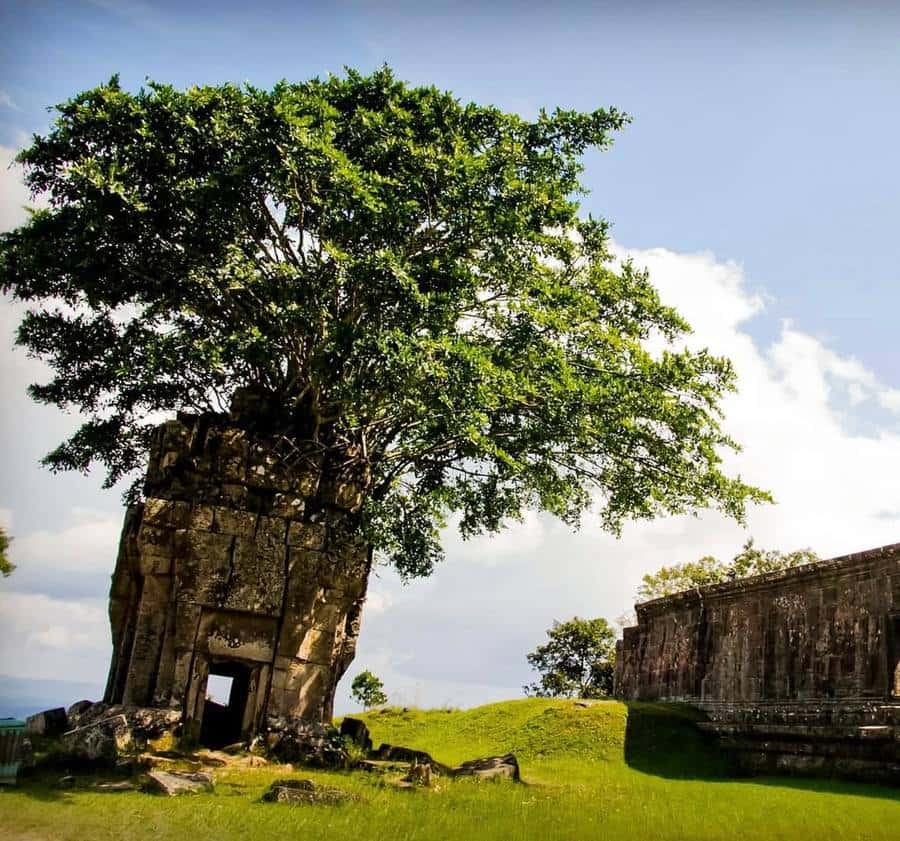 Colagem de mídia