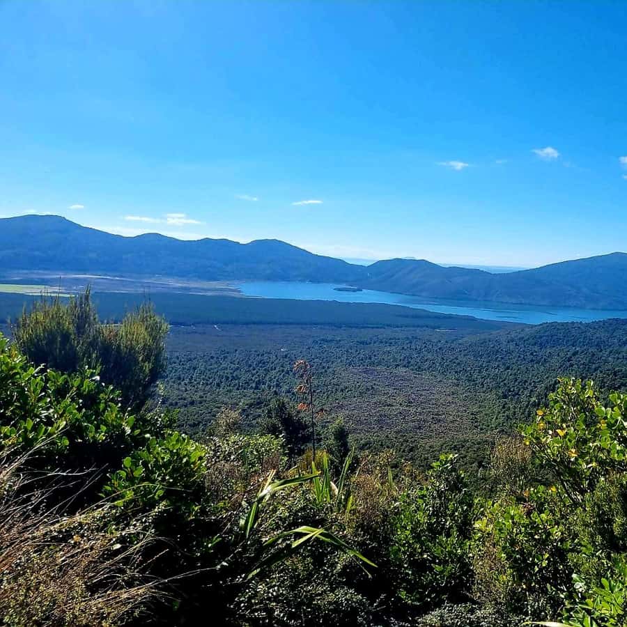 Colagem de mídia