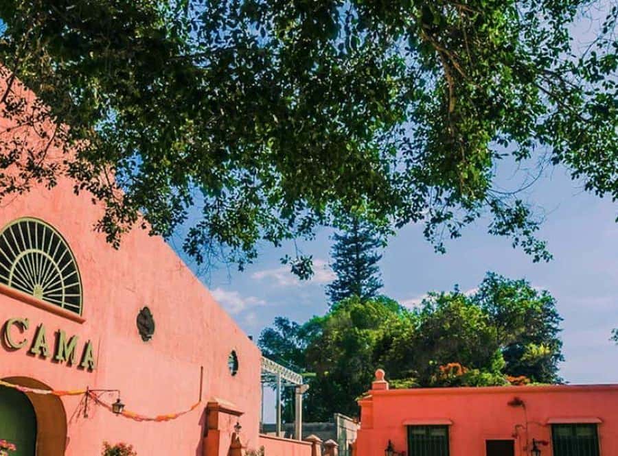 Colagem de mídia