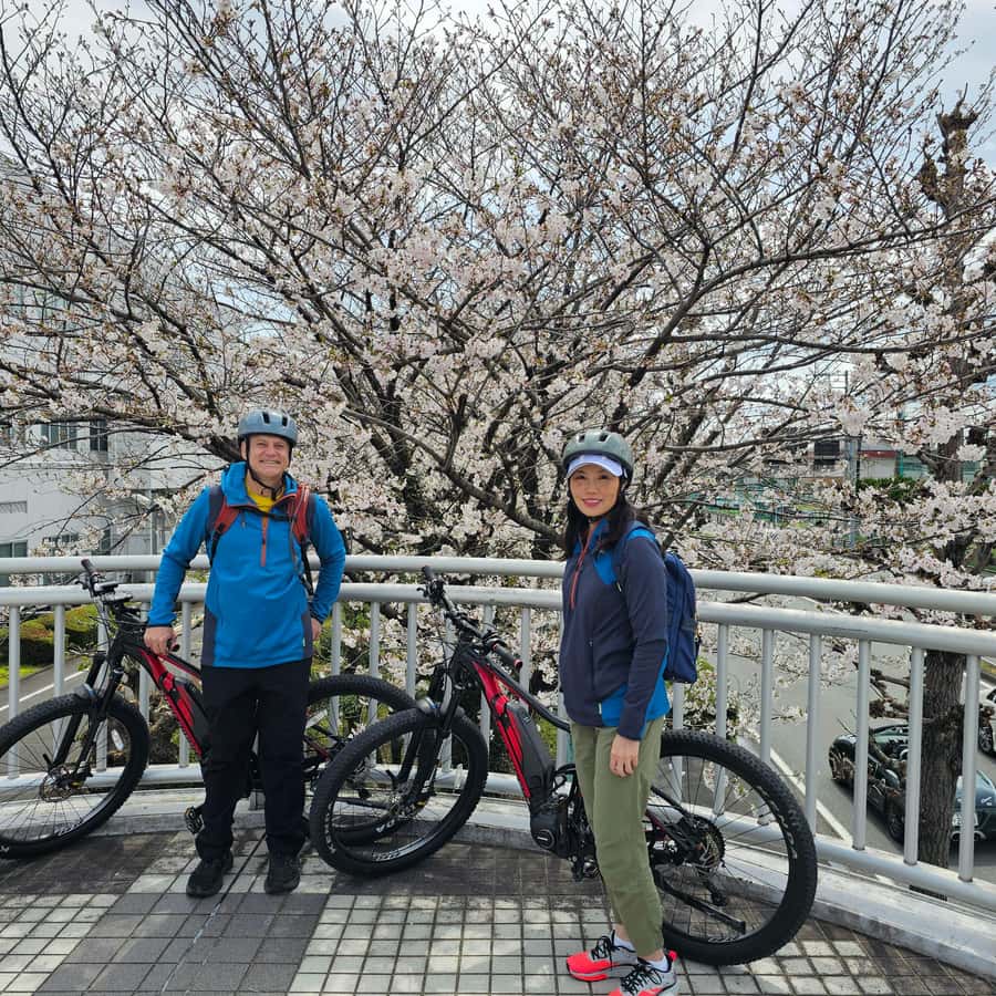 Tour in bici elettrica del Monte Fuji: Esplora la natura e la