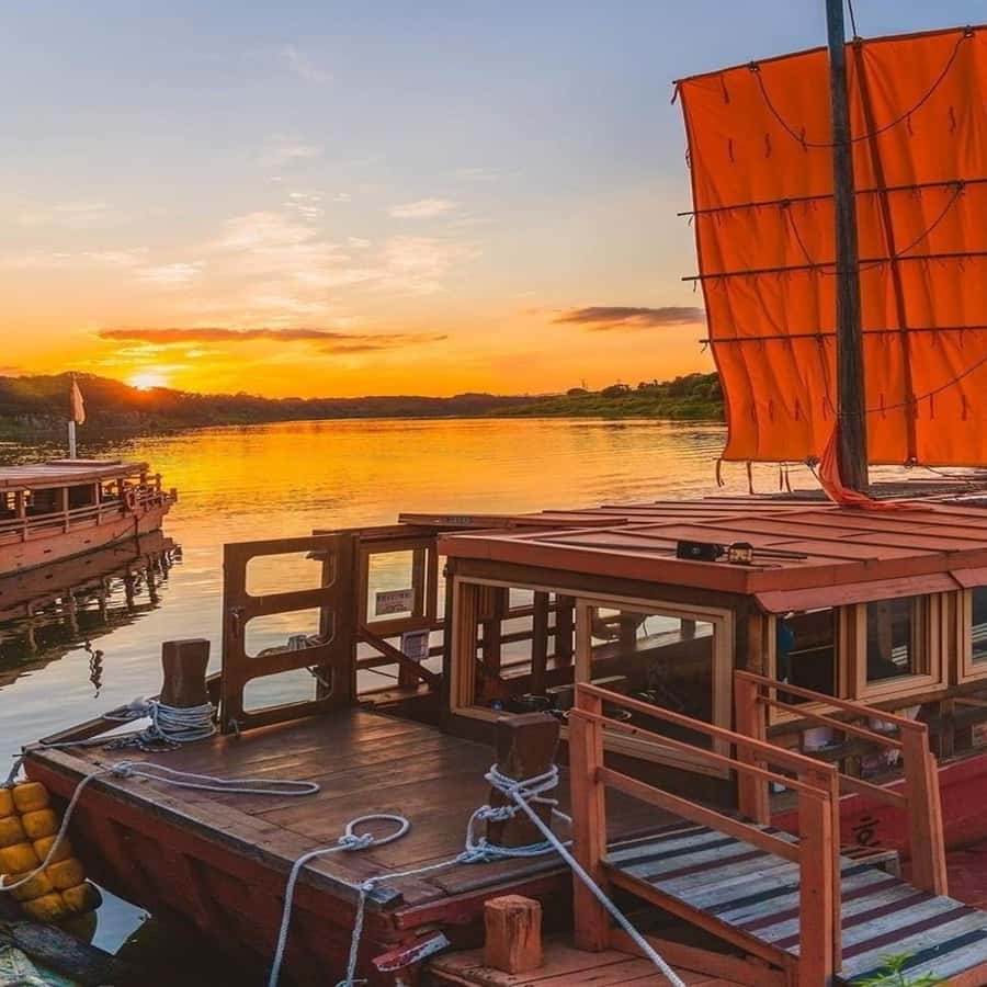 Galería de fotos para redes