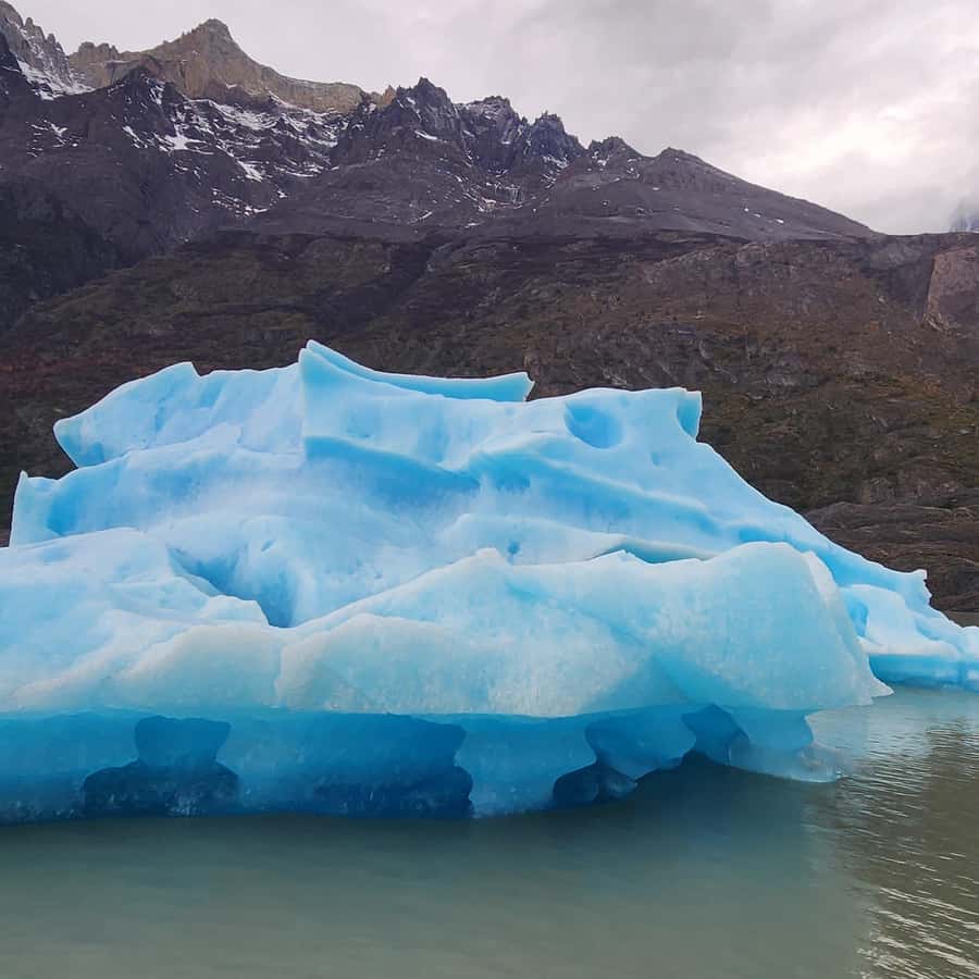 Galería de fotos para redes