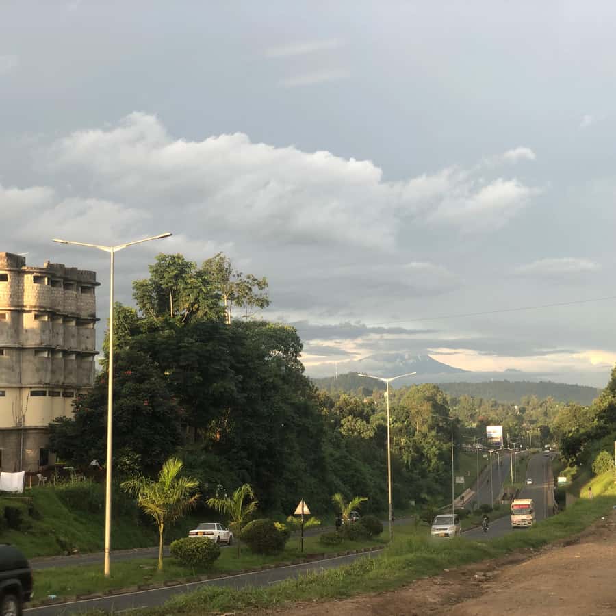Galería de fotos para redes