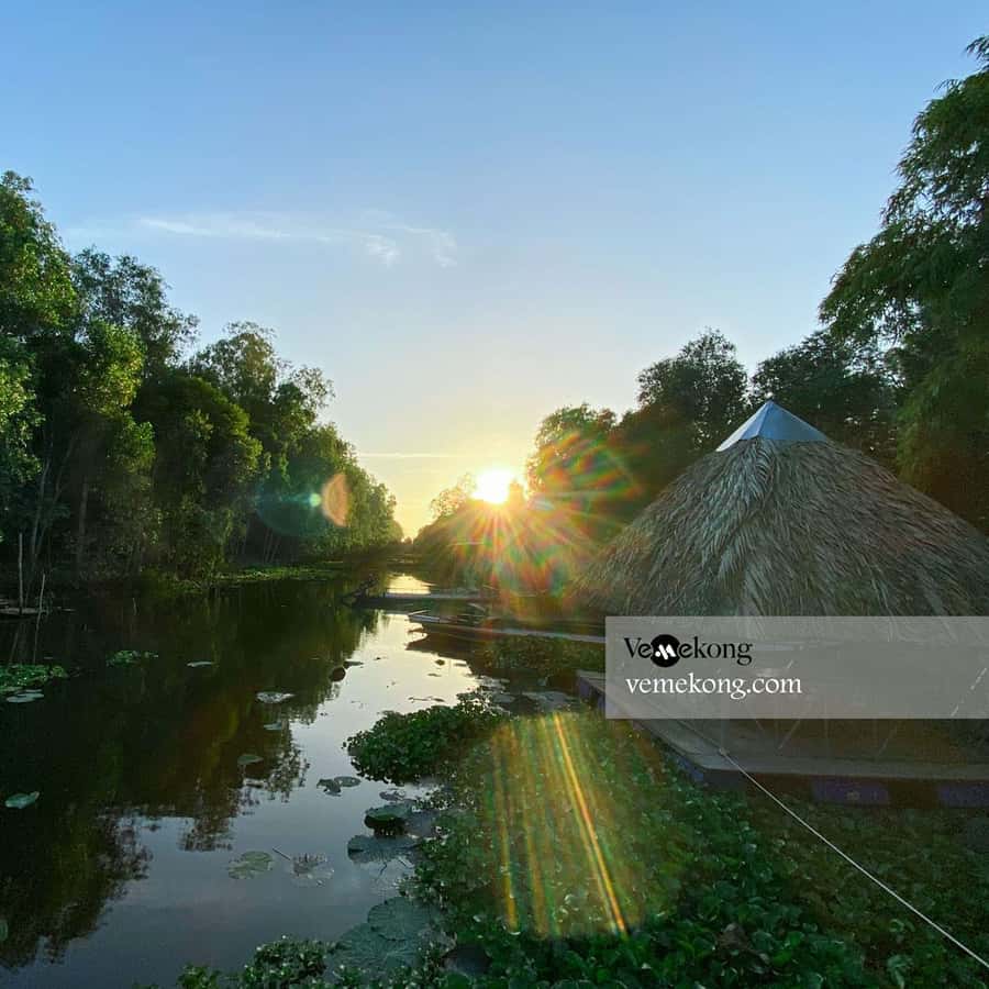 Galería de fotos para redes