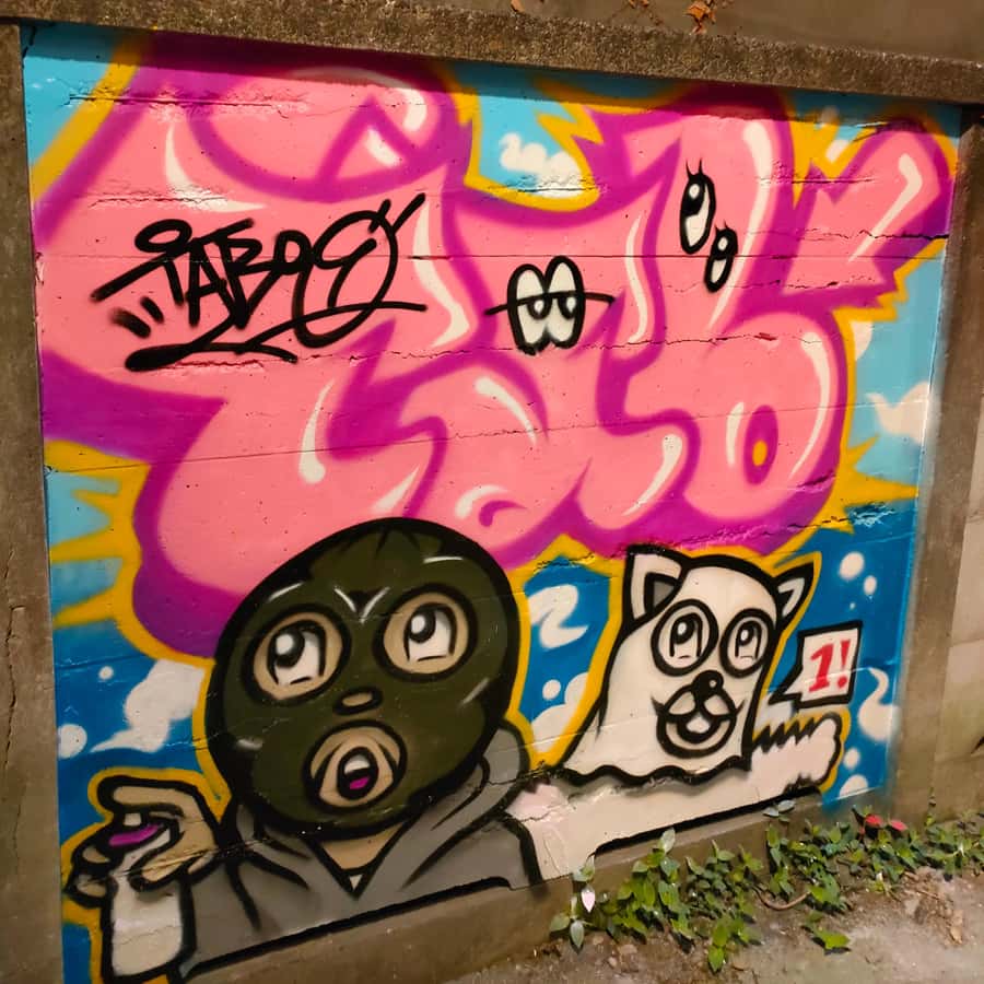 Graffiti in Tokyo Walking Tour: Shibuya and Harajuku