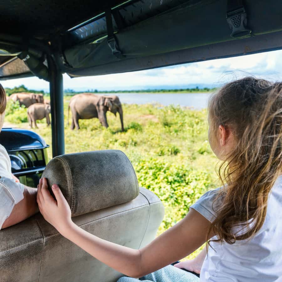 Sri Lanka Templo de días, vida salvaje, cascadas, región