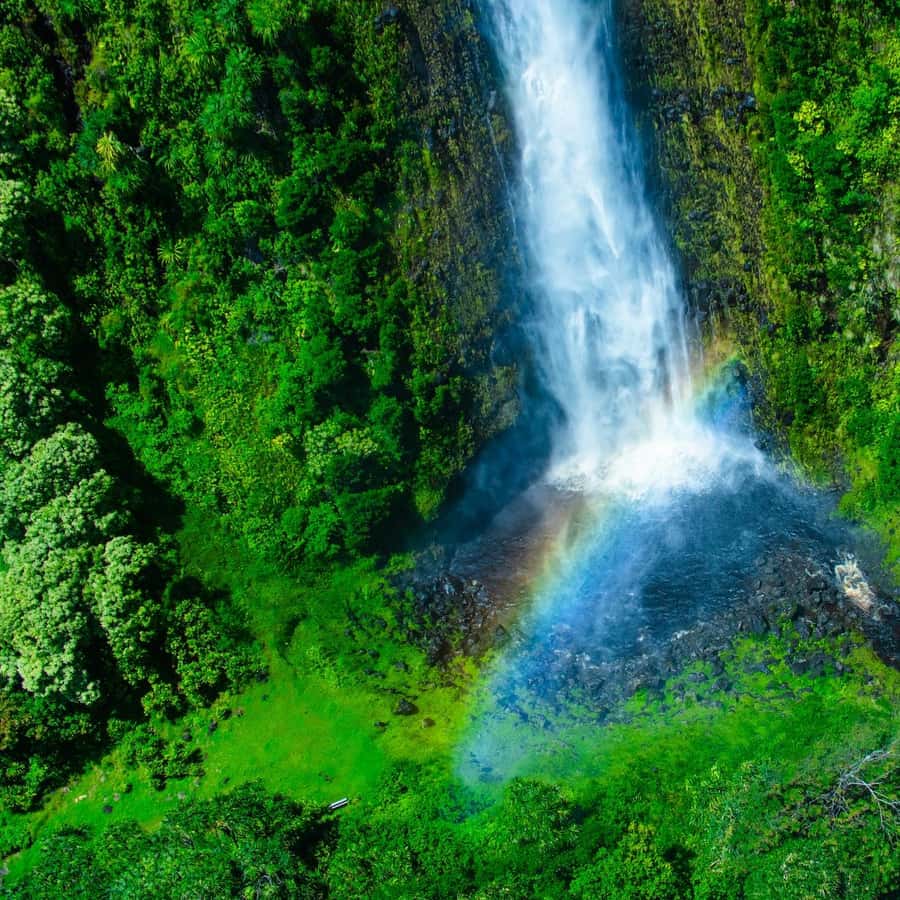 Hawaï - GeoGraphixs, image size:900x900