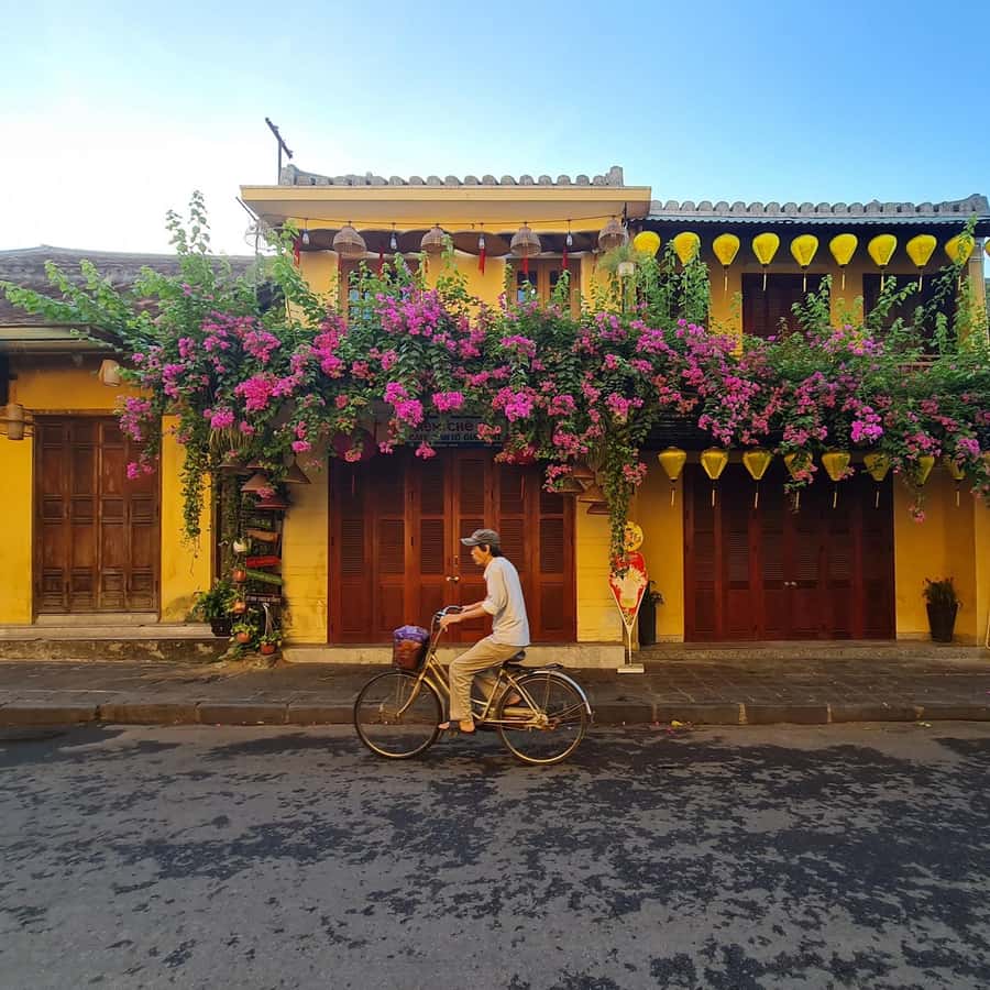 Galería de fotos para redes